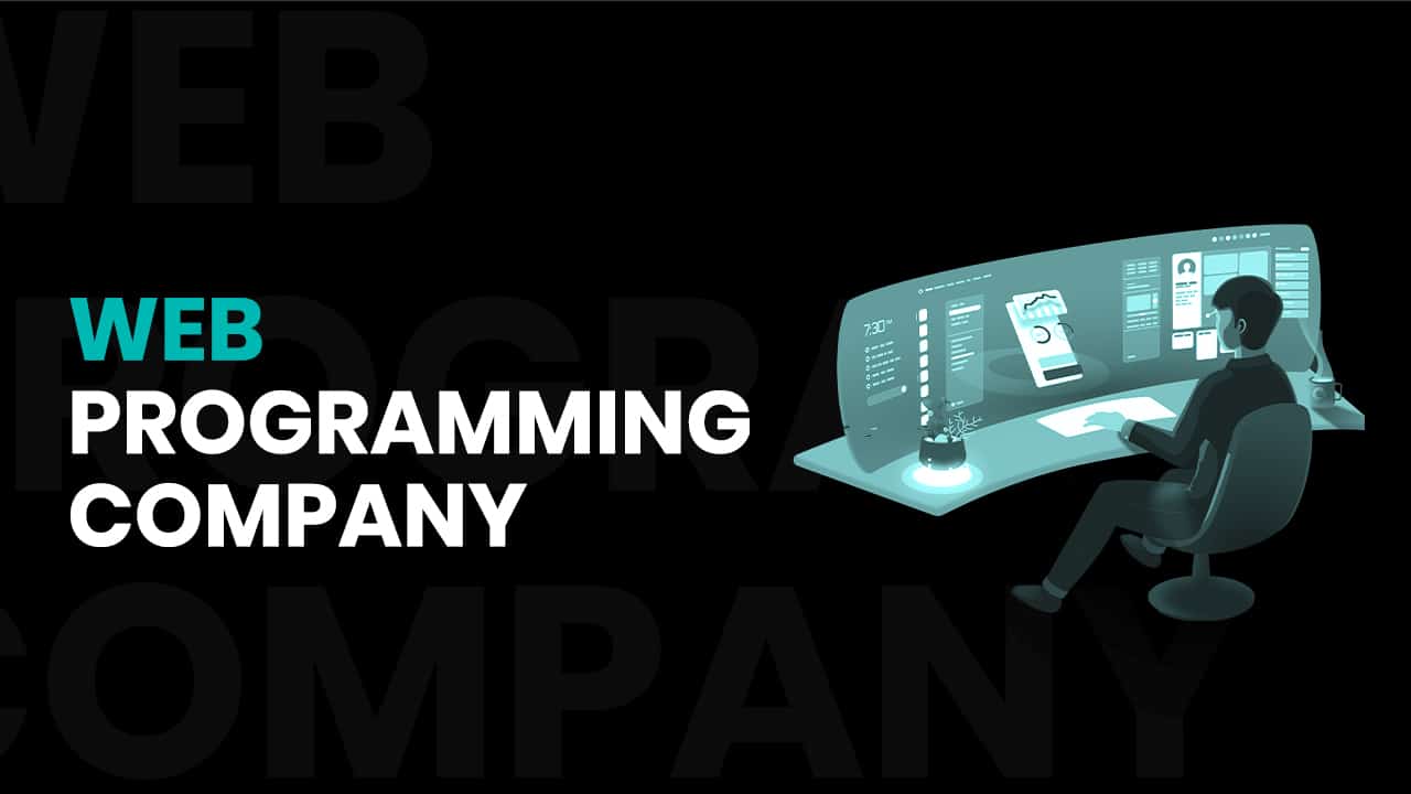 web programming company